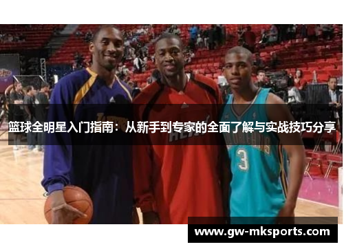 篮球全明星入门指南：从新手到专家的全面了解与实战技巧分享