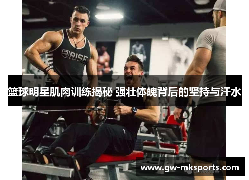 篮球明星肌肉训练揭秘 强壮体魄背后的坚持与汗水